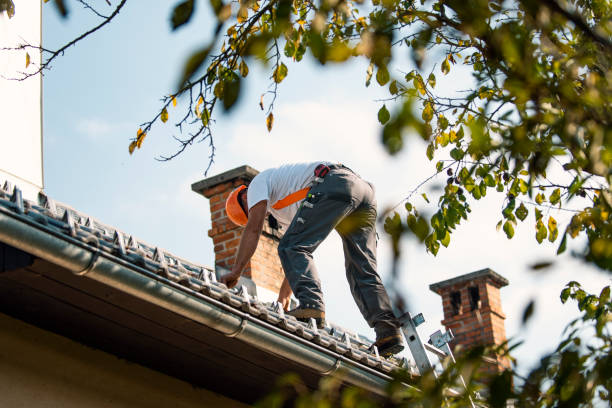 Best Steel Roofing  in Roanoke Rapids, NC